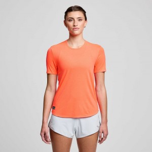 Saucony Stopwatch Short Sleeve ViZiRed | 12609-HDJZ