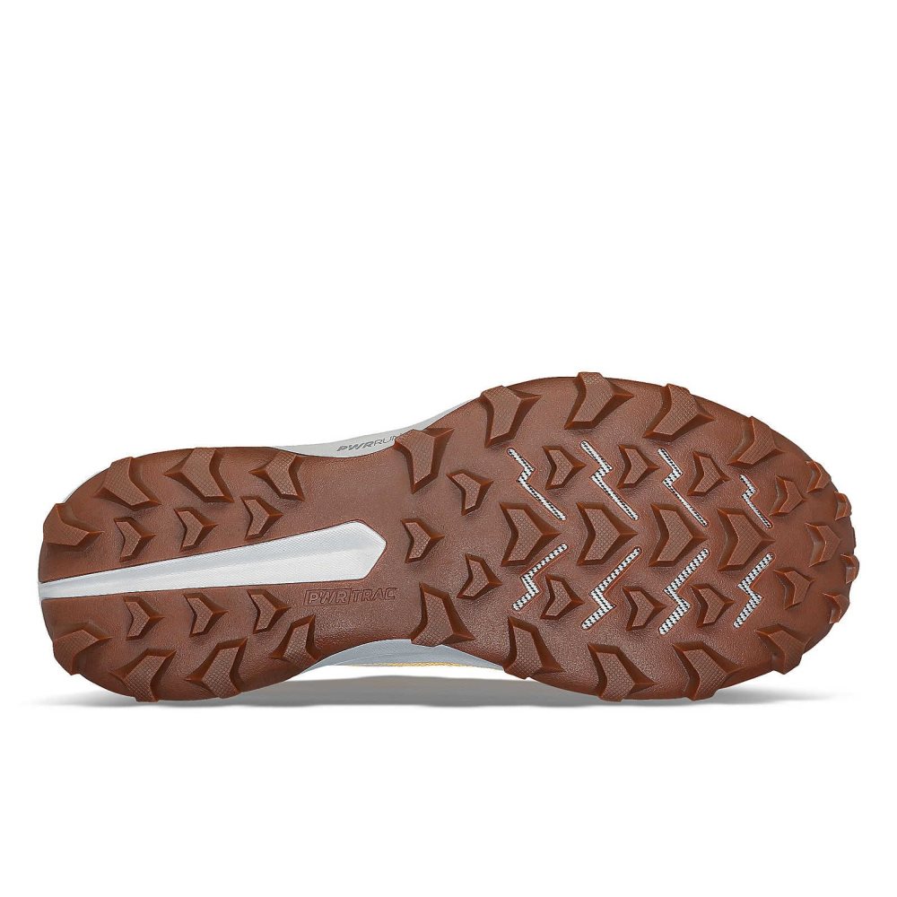 Saucony Peregrine 14 Flax Clove | 58042-ZPYM