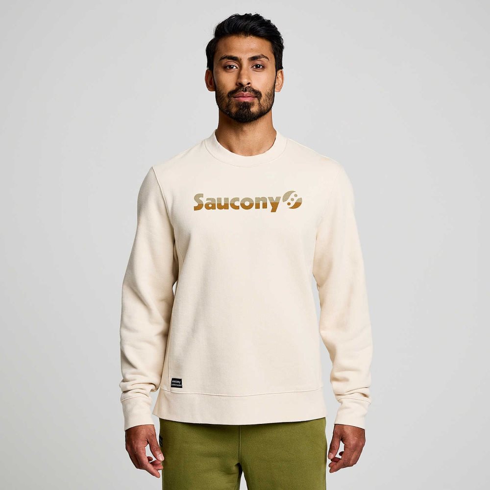 Saucony Recovery Crew Beżowe | 26741-YCPV