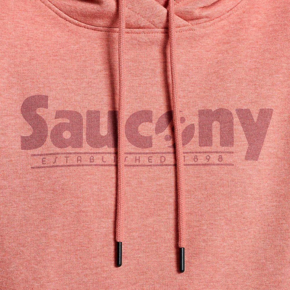 Saucony Rested Hoodie Soot Heather Graphic | 63578-IYSR