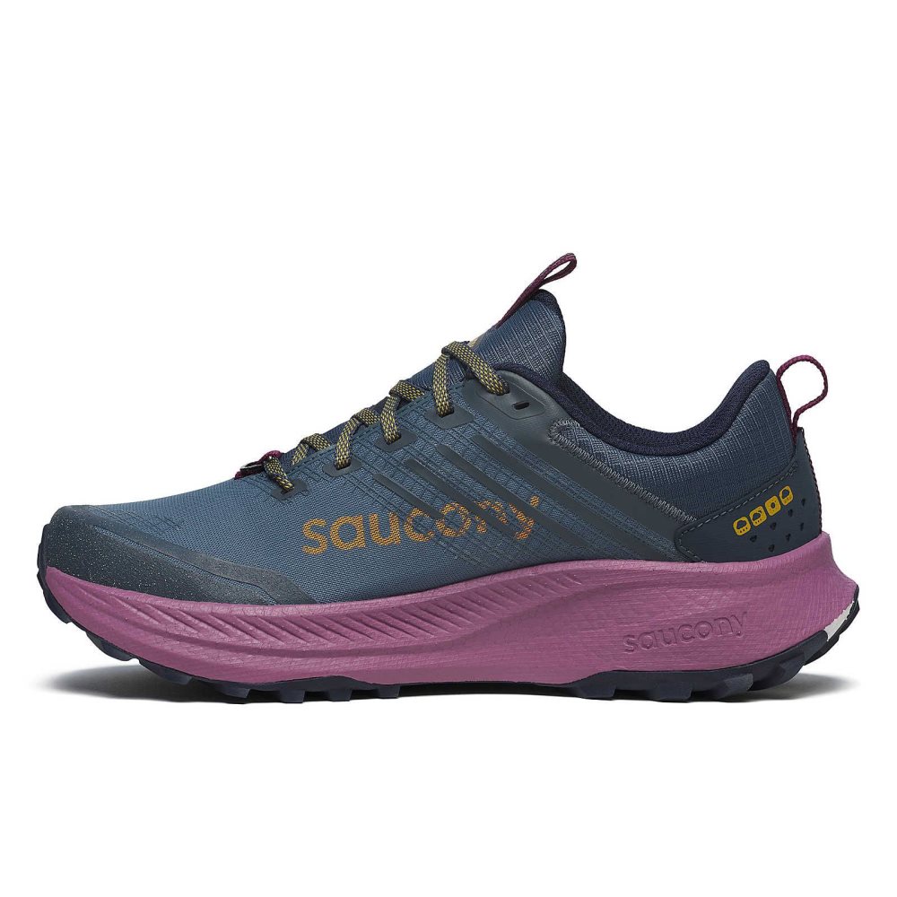 Saucony Ride TR2 GTX Fioletowe | 82501-DSYH