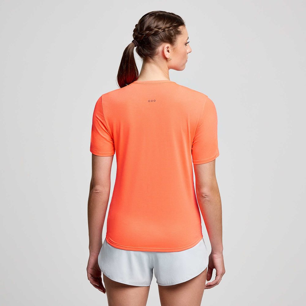 Saucony Stopwatch Short Sleeve ViZiRed | 12609-HDJZ